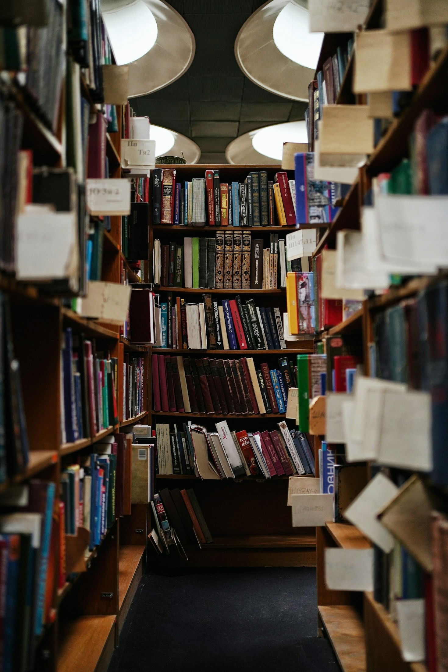 A Guide to Finding Your Next Favorite Book